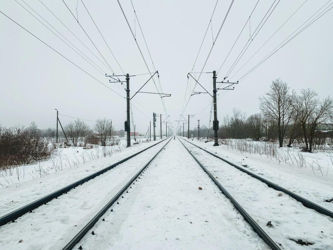 snow covered road between bare trees