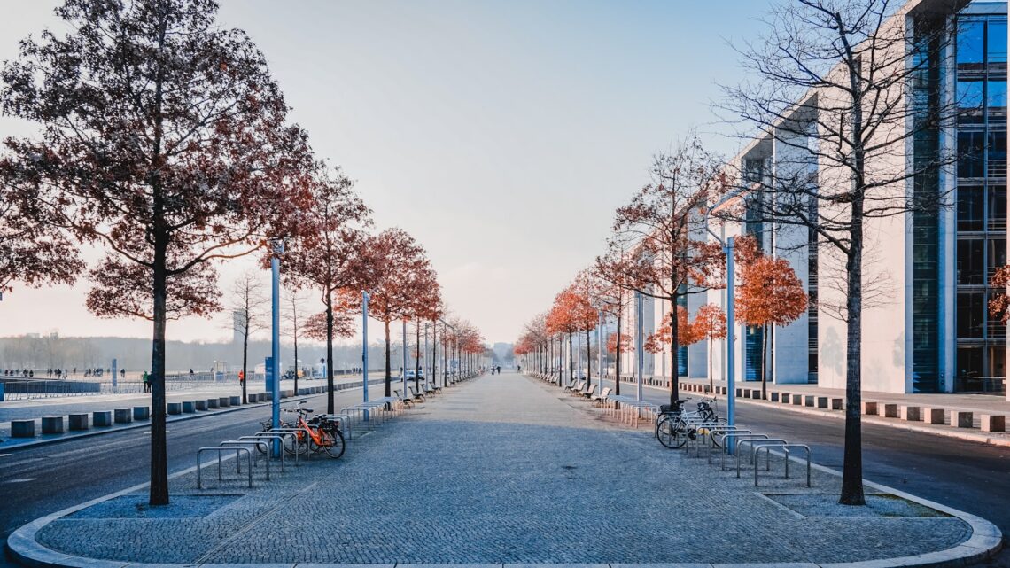 a street lined with tall trees next to tall buildings